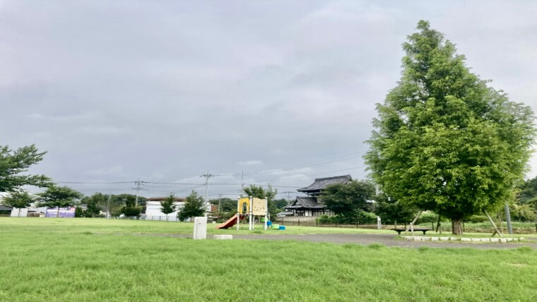 上境旭台貝塚公園のシンボルツリー