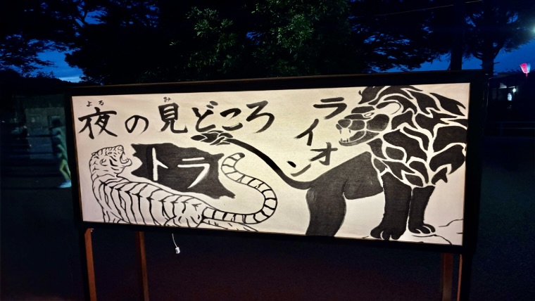 夜の見どころ