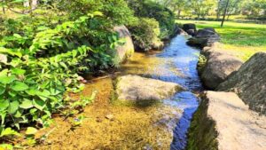 水遊び場の様子4