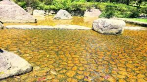 水遊び場の様子5