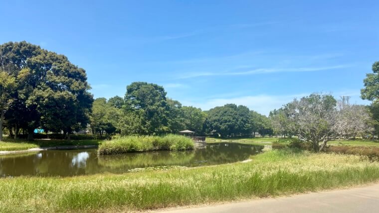 ヒロサワ県西公園の池