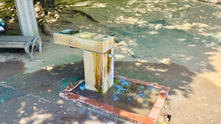 ヒロサワ県西公園の水道