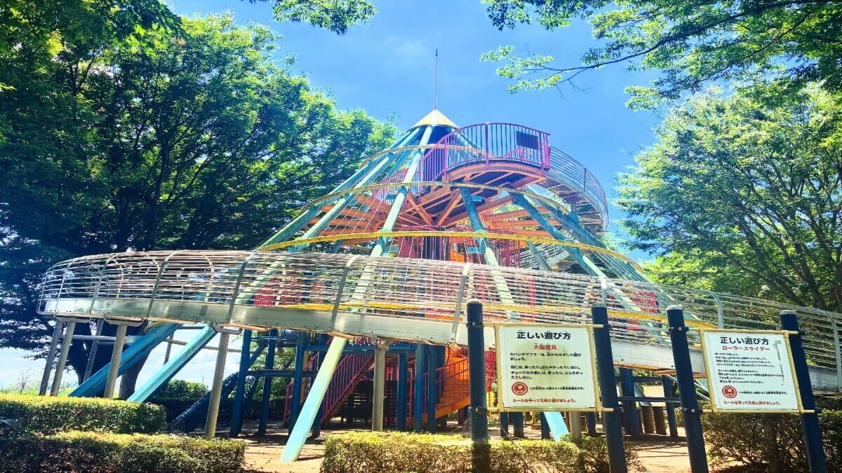 ヒロサワ県西公園の遊具2
